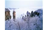 春節(jié)旅游：張家界、袁家界、天子山、寶峰湖/黃龍洞度假二晚三日游